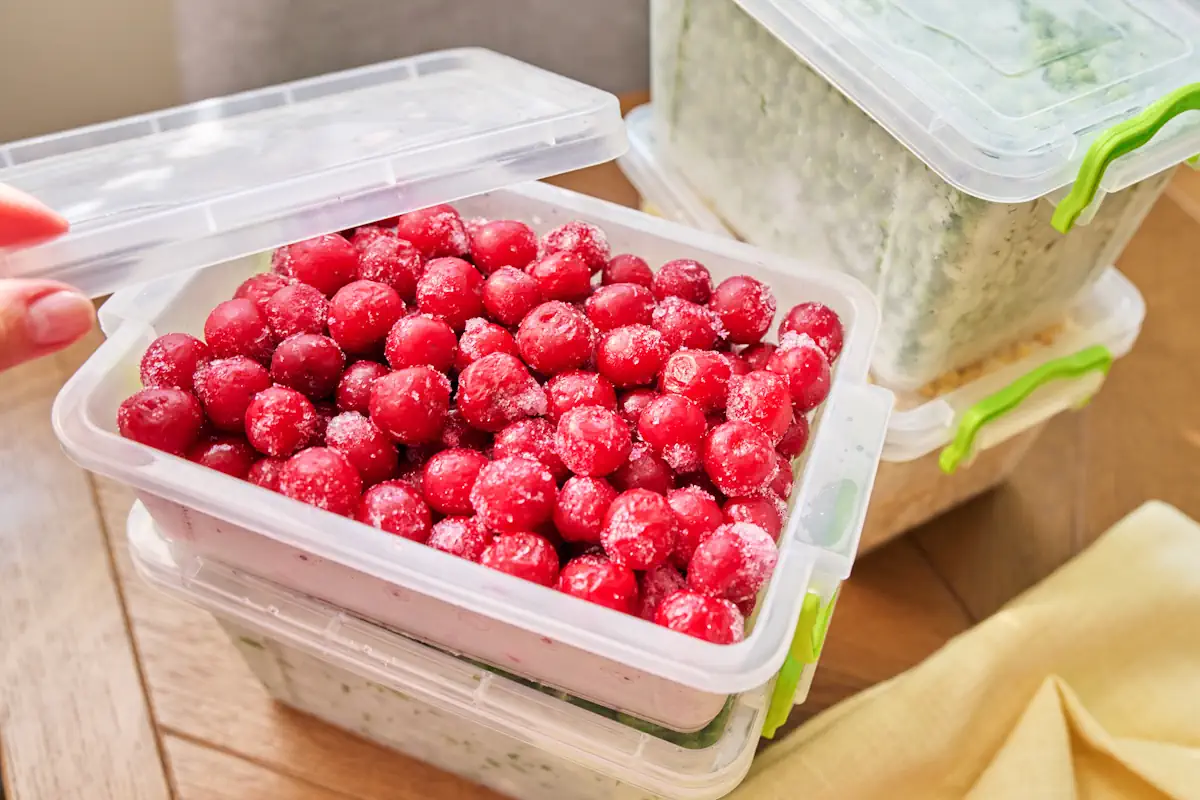 Congélation des cerises dans un bac en plastique transparent