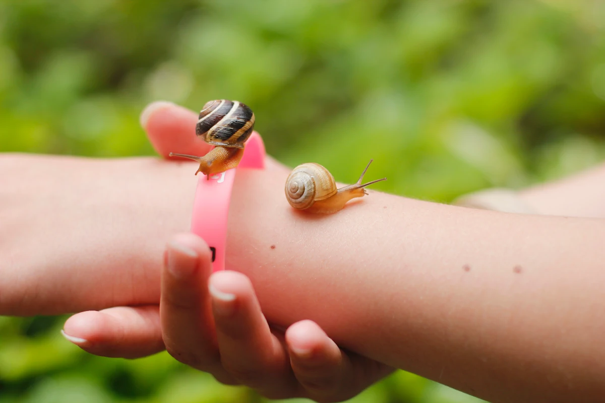Une personne qui a des escargot sur les mains