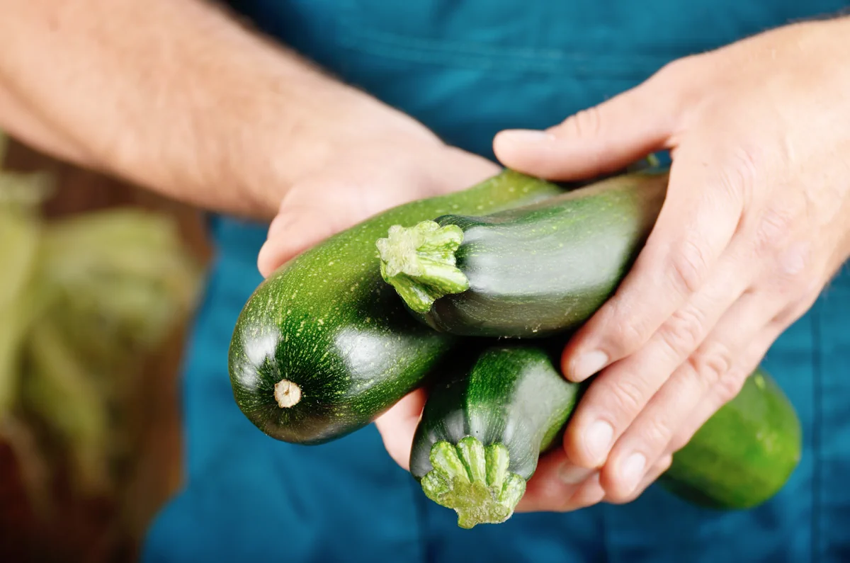 Une personne qui tient des courgettes dans sa main