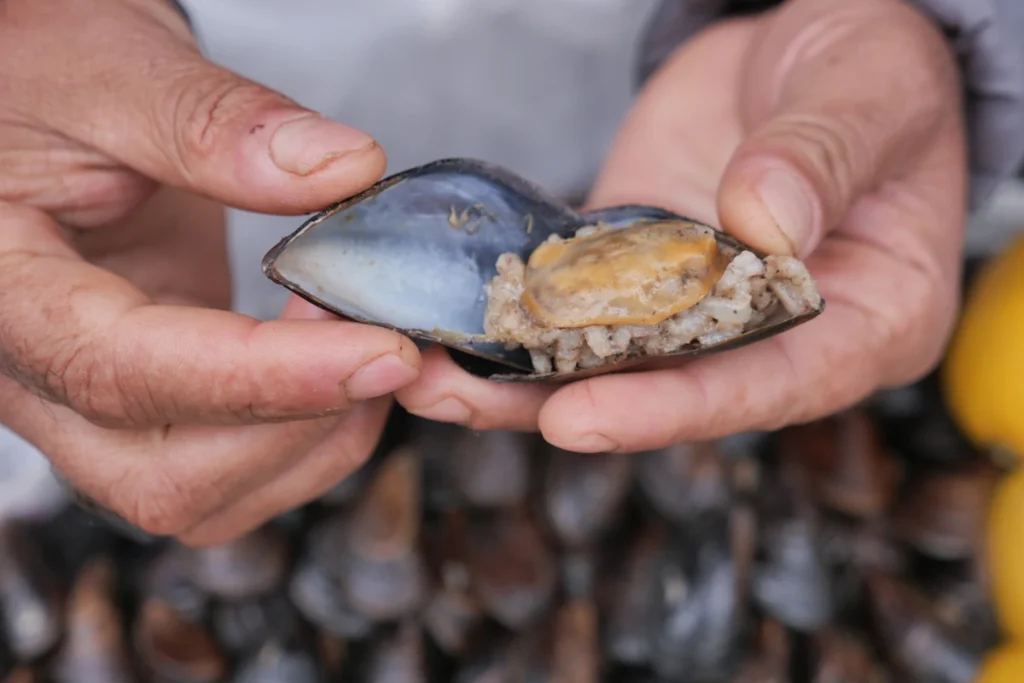 Une personne qui ouvre et regarde une moule