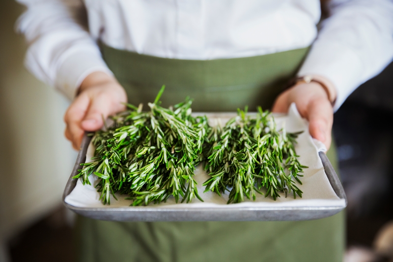 herbes fraiches